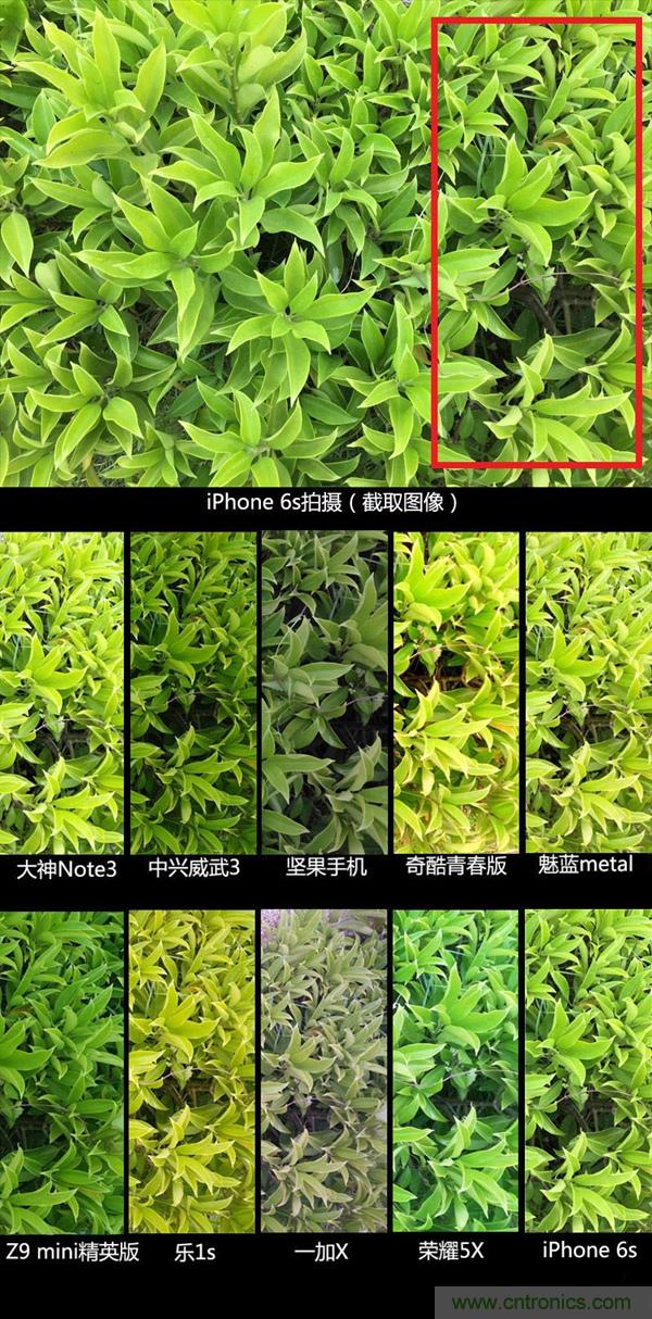2015年9款千元智能手機橫評：誰才是紅海霸主？